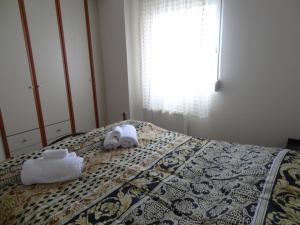 Danush Home
