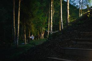 Camping Colibita