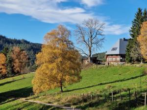 Feißesberghof