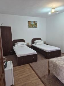 Pensiunea Magnolia din Tismana