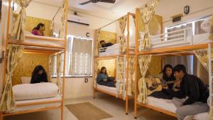 Live Free Hostel Dehradun