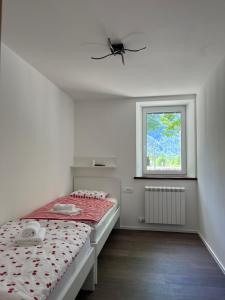 Apartma 35