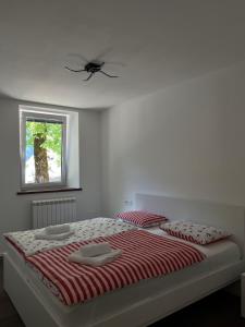 Apartma 35
