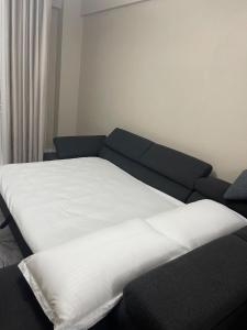 Ersa Modern and Bright Apartment near 21 Dhjetori