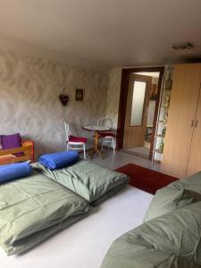 Gemütliche und großzügige Ferienwohnung in der Sächsischen Schweiz mit Garten