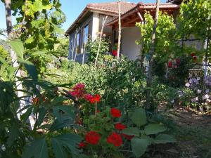 Spring Village Home