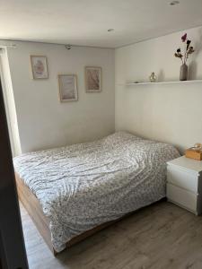 Appartement entier 2 chambres centre-ville