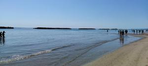 Appartamenti Vacanze Vista mare