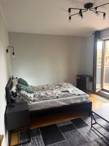 Apartament Dworski