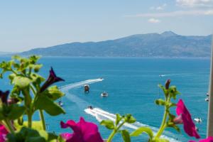 InHouse Saranda