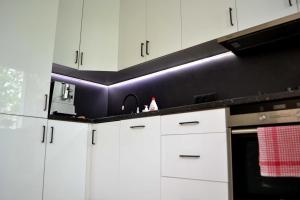 Žemaičių g apartamentai