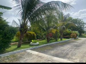 Viviennes Guest House #6