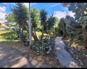 Escapade à Bandol