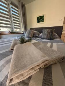 Sosnowe Zacisze