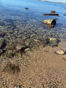 La Perla Del Mare