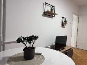 Confluence Apartment