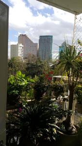 Casa Itzae B&B Polanquito Dog Friendly