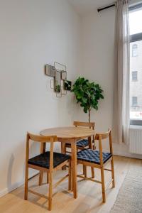 Bright and Elegant Apartment in Downtown Antwerp