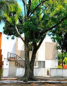 Departamento Coco Guadalajara