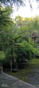 Madu Sentana House