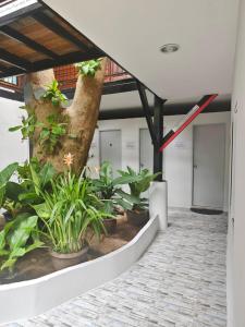 Monkey House Hostel & Guest House Koh Samui