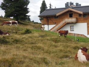 Chalet Lang in Hochkrimml for 6 people
