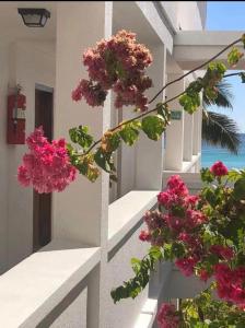 Hotel Spindrift & Golf Cart Rental