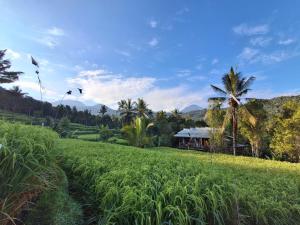 Munduk Little Garden