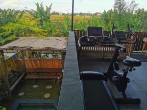 A cozy living with nature and paddy view