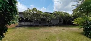 Rumah Cermin
