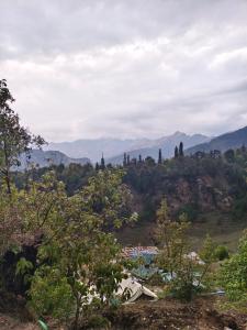 Himalayas camping chopta tungnath