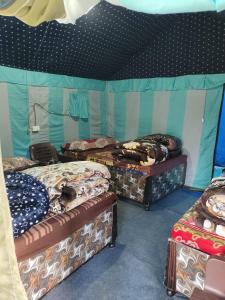 Himalayas camping chopta tungnath