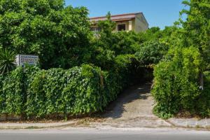 Athineos Studio