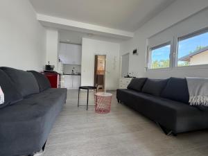 Apartman na Drini