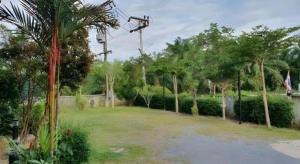 Palm Hill Resort