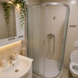 Apartman Centar Paracin