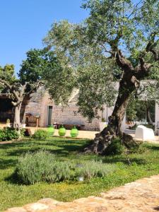AD&DIMORE LANTICO TRULLO