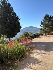 Lally in the Sky moderno monovano panoramico ed accessoriato