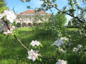 Burgbühl - Friburgo