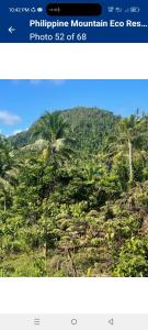 Philippine Mountain Eco Resort