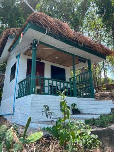 Benny monkey house