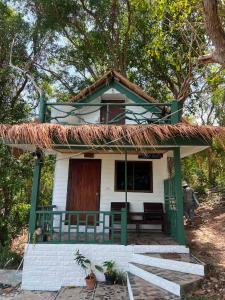 Benny monkey house
