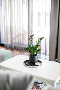 MarienHome Koidiku