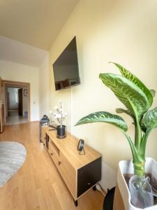 Modernes 4 Zimmer Apartment I Balkon I Netflix