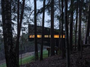 Blackview cabin