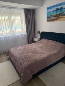 Marina Surf Mamaia Nord
