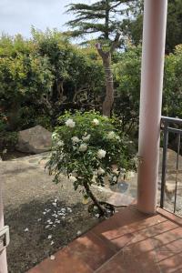 Due matrimoniali con bellissima vista mare a Costa Rei