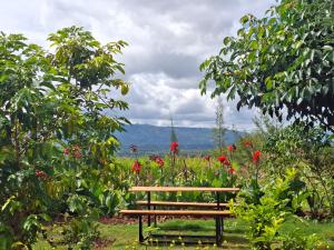 Elmadel Coffee Gardens- Family Villas, Couples Chalets, Holiday Getaway & Garden Coffee Shop, Rustic Gardens- 50kms from Nairobi