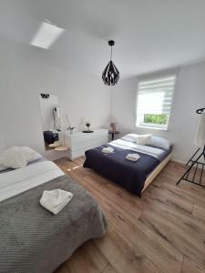 Noclegi Leśne Bagno
