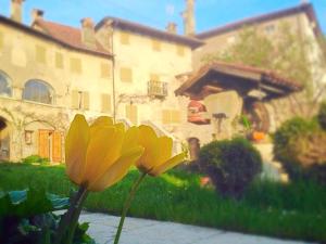 Villa Francescon, Val Belluna village, Dolomites